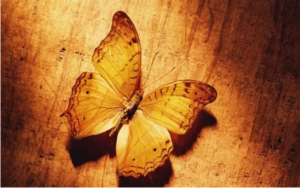 1535183882951416.png 1535183882951416.png